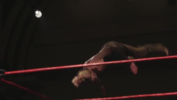 Pro Wrestling Match: Lucha Libre Backflip Enzigiri Martial Arts Kick Sequence - Metraje, vídeo