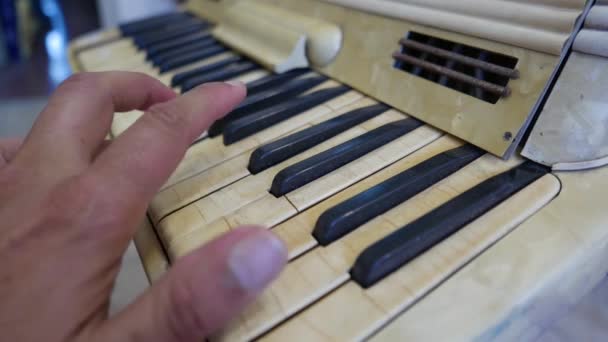 Nadir eski Vintage akordeon - Video, Çekim