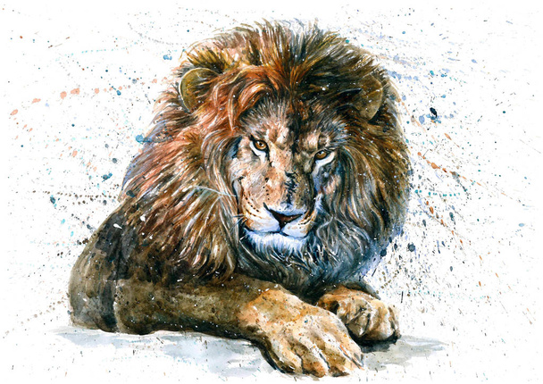Lion, animals, watercolor, wild, cat, predator, king - Photo, Image