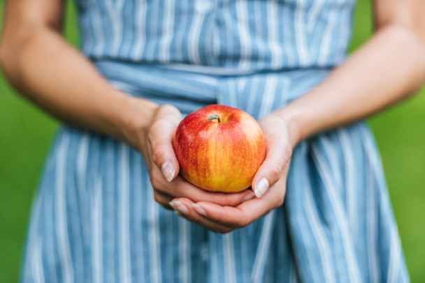 partial view of girl holding one ripe apple in hands - Foto, Imagem