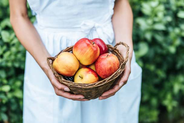 visão parcial da jovem segurando cesta de vime com maçãs
 - Foto, Imagem