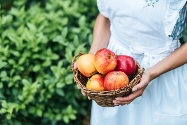 cropped view of girl holding wicker basket with red apples - Fotó, kép