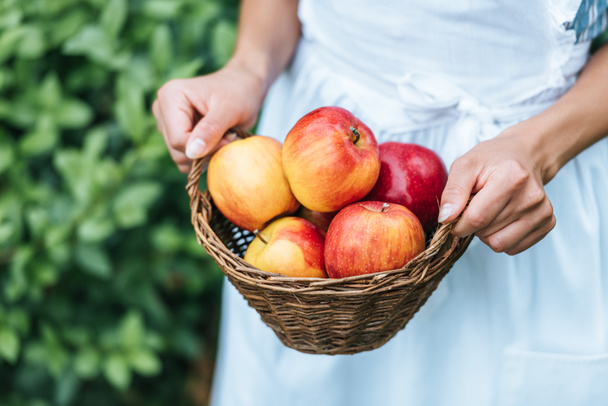 partial view of woman holding wicker basket with red fresh apples - Foto, imagen