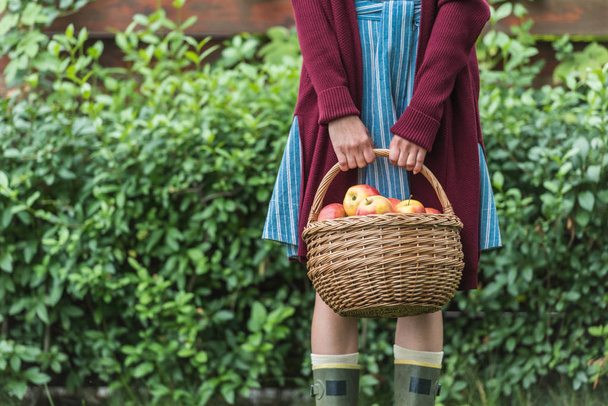 hasır sepet elma ile tutan genç kadın midsection görünümü - Fotoğraf, Görsel