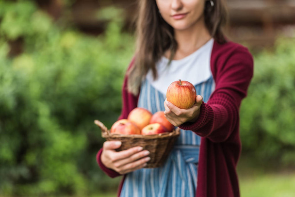 vista recortada de niña sosteniendo cesta de mimbre con manzanas
 - Foto, imagen