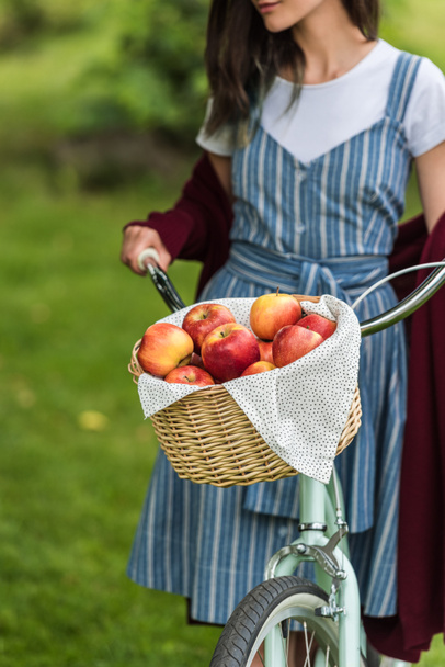 vista parcial de mujer joven con cesta de mimbre llena de manzanas frescas en bicicleta
 - Foto, imagen