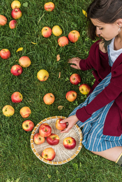 overhead view of girl with fresh picked apples in wicker bowl sitting on green grass - Fotoğraf, Görsel