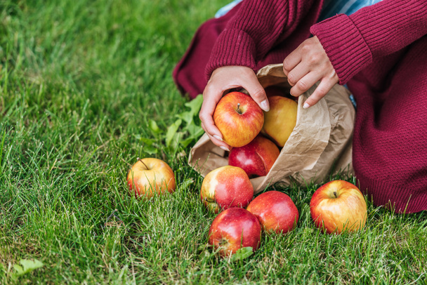 cropped view of girl apples in paper bag on green grass  - Fotoğraf, Görsel