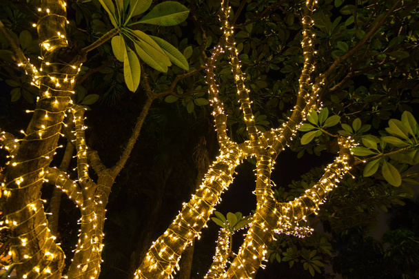 Διακοσμητικά υπαίθρια συμβολοσειρά φώτα που κρέμονται στο δέντρο στον κήπο του νύχτα ώρα - διακοσμητικά Χριστουγεννιάτικα φώτα - ευτυχισμένο το νέο έτος  - Φωτογραφία, εικόνα