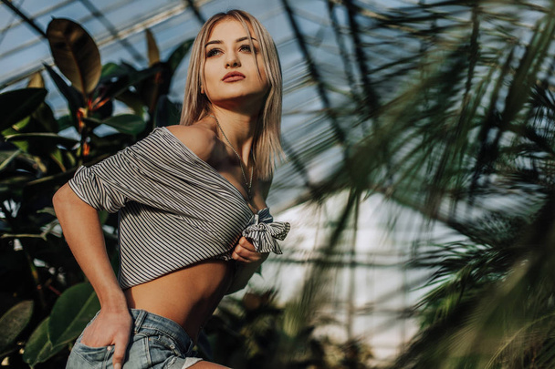 Fashionable style. Beauty with natural make-up in a tropical greenhouse. Beautiful female model in a casual dress, standing around palm trees in the botanical garden. - Zdjęcie, obraz
