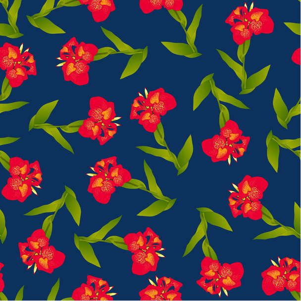 Red Canna indica - Canna lily, Indian Shot on Indigo Blue Background. Vector Illustration. - Vector, afbeelding