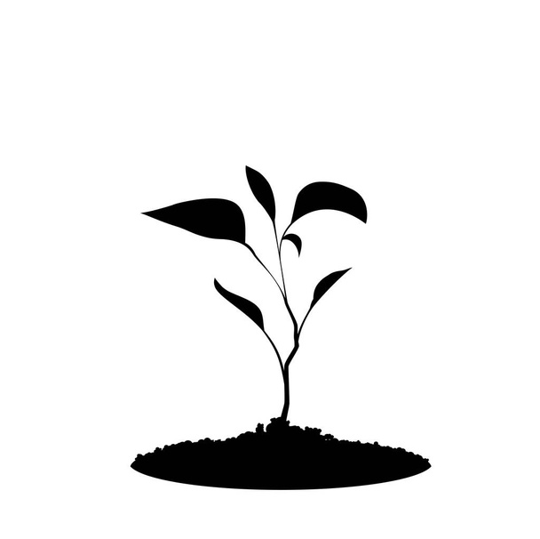 Silhouette noire de plant germant dans le sol isolé sur fond blanc. Illustration vectorielle de semis, icône, signe, modèle pour la conception
. - Vecteur, image