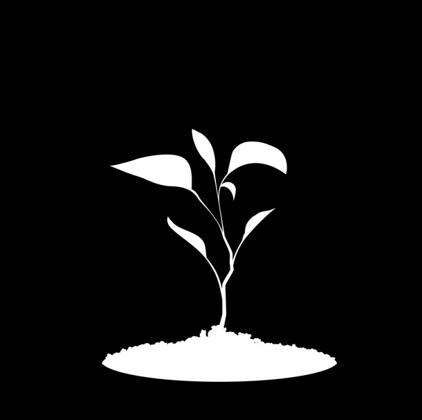 White silhouette of sprouting plant in the soil isolated on black background . Seeding vector illustration, icon, sign, template for design. - Vector, Image