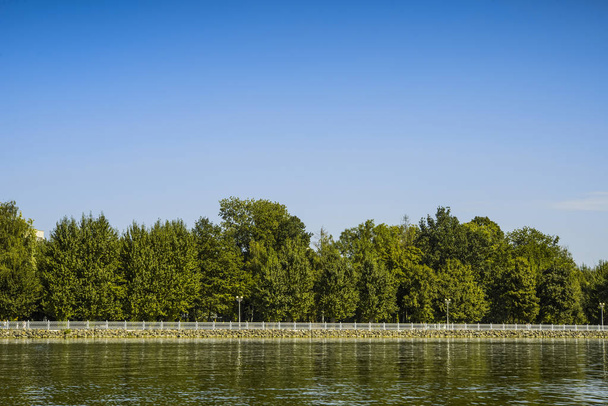 river embankment with trees - Photo, image