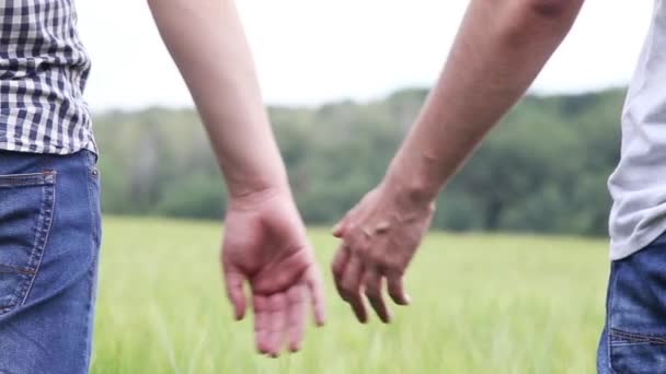 Pár gayů na zelené pšeničné pole, drželi se za ruce - Záběry, video