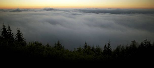 Malowniczy krajobraz mglisty. Mgły poniżej szczytu góry. Zachód słońca krajobraz. Port Angeles, Washington, Stany Zjednoczone. Zdjęcie panoramiczne. - Zdjęcie, obraz