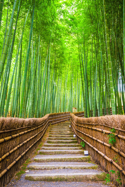 Kioto, Japón en el bosque de bambú
. - Foto, Imagen