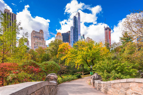 New York, New York, USA Park South cityscape from Central Park in Autumn. - Photo, Image