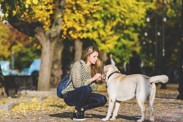 Krásná mladá blondýnka se projít do parku s její labrador v parku na podzim. Žena se choulilo vedle její retrívr. - Fotografie, Obrázek