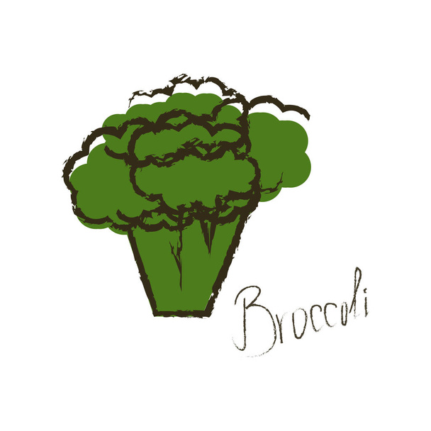 Ilustración dibujada a mano de brócoli verde. Letras de nombre vegetal. Objeto aislado sobre fondo blanco
. - Vector, imagen
