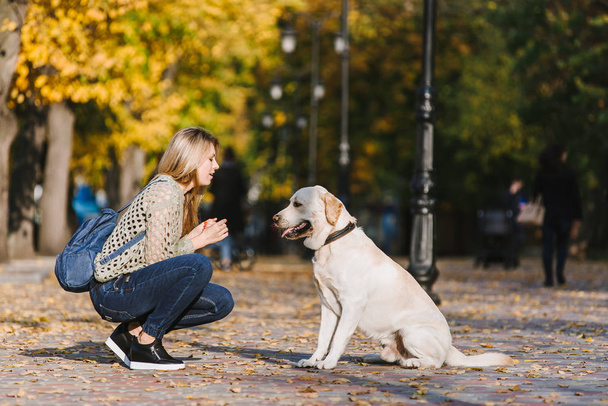 Die schöne junge Blondine geht im Herbst mit ihrem Labrador im Park spazieren. die Frau hockte neben ihrem Retriever. - Foto, Bild
