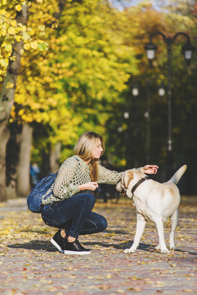 Осенью красивая молодая блондинка гуляет в парке со своим лабрадором в парке. Женщина присела рядом со своим ретривером
. - Фото, изображение