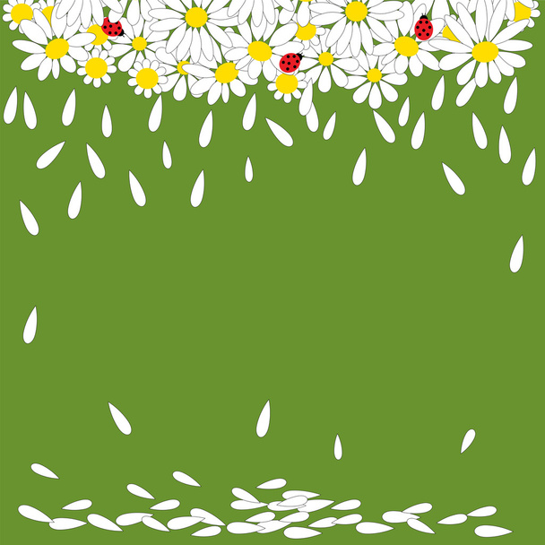 Daisies with ladybirds on green background - Διάνυσμα, εικόνα