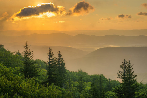Sunrise uitzicht vanaf dragen rotsen behouden in Dolly Sods wildernis, Monongahela National Forest, West Virginia. - Foto, afbeelding
