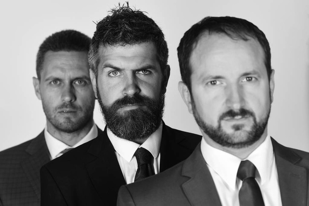 Men with beard and serious faces support business partners. CEOs stand for company leadership on light grey background. - Foto, Bild