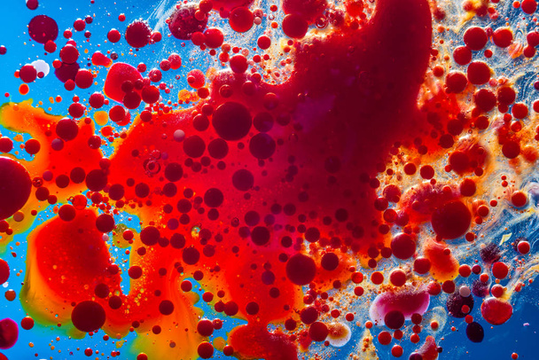 Burbujas rojas de células sanguíneas en un primer plano de fondo azul. Abstracción de la medicina y la ciencia. El concepto de microprocesos y enfermedades en el cuerpo humano
 - Foto, imagen