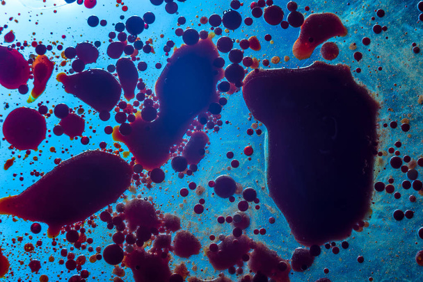 Burbujas rojas de células sanguíneas en un primer plano de fondo azul. Abstracción de la medicina y la ciencia. El concepto de microprocesos y enfermedades en el cuerpo humano
 - Foto, imagen