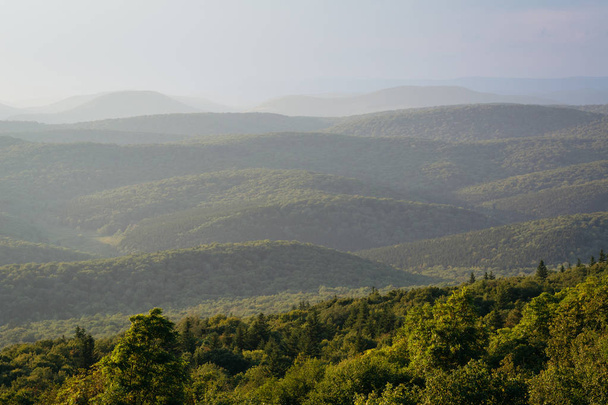 View of mountain ridges from Spruce Knob in Monongahela National Forest, West Virginia. - Foto, imagen