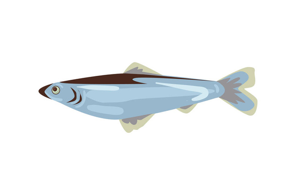 vector herring isolated - Вектор,изображение