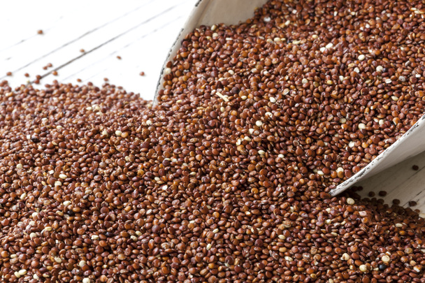 Red Quinoa - Photo, Image
