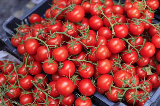 Κόκκινο κεράσι ντομάτες στην αγορά - Φωτογραφία, εικόνα