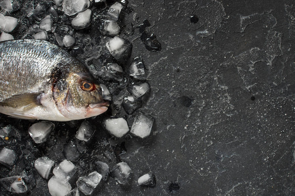 Raw fresh dorado on ice over dark stone background. Top view and copy space - Photo, image