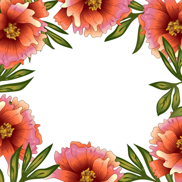 Peony frame flowers in a vector style. Frame border ornament square. Vector flower for background, texture, wrapper pattern, frame or border. - Vecteur, image