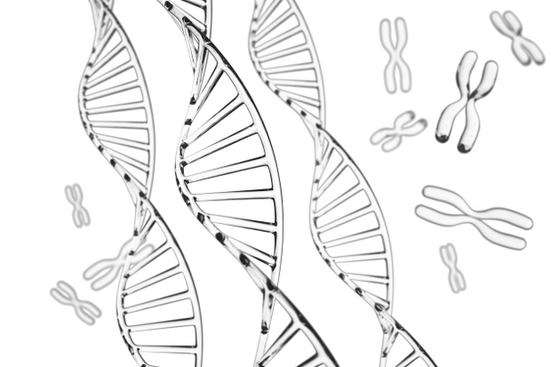 Abstrakter Hintergrund. DNA-Molekül mit X-Chromosomen - Foto, Bild