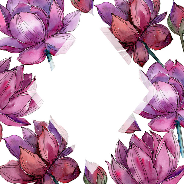Pembe lotus çiçeği. Botanik çiçek. Çerçeve kenarlığı süsleme Meydanı. Arka plan, doku, sarıcı desen, çerçeve veya kenarlık için Aquarelle kır çiçeği. - Fotoğraf, Görsel