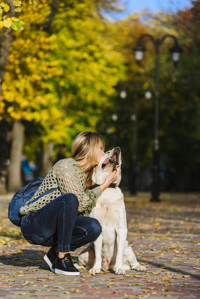 Beautiful young blonde is walking in the park with her labrador in the park in the fall. The woman crouched beside her retriever. - Fotoğraf, Görsel