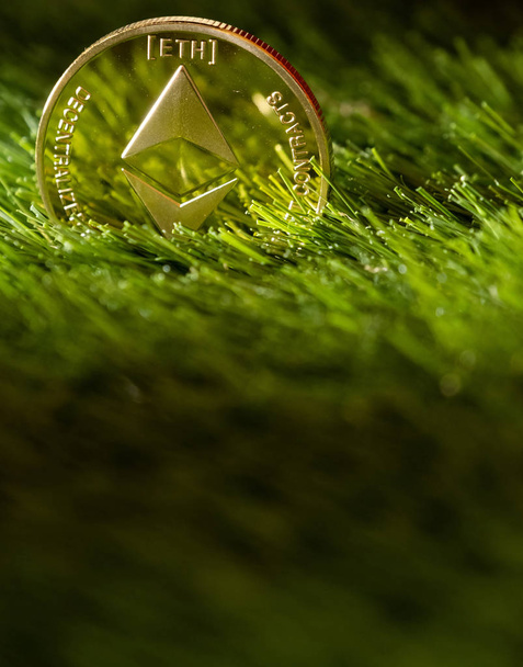 Moneda de etéreo sobre hierba verde
 - Foto, imagen