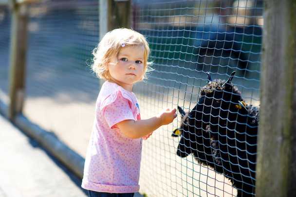 Adorable cute toddler girl feeding little goats and sheeps on a kids farm. Beautiful baby child petting animals in the zoo. - Photo, Image