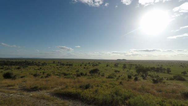 scenic landscape in kenya - Footage, Video