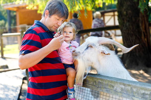 Suloinen söpö taapero tyttö ja nuori isä ruokinta pikku vuohia ja lampaita lasten tilalla. Kaunis vauva silittää eläimiä eläintarhassa. mies ja tytär yhdessä
 - Valokuva, kuva