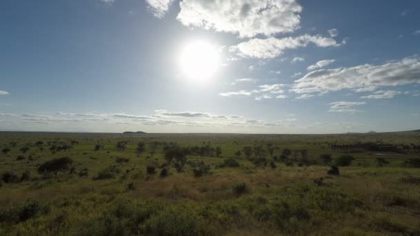 Kenya doğal peyzaj - Video, Çekim