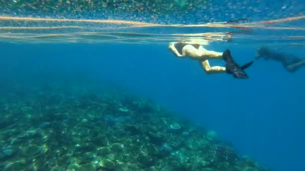 Podwodne widoki mężczyzna nurek i pływaczka głowy maski z rurką w czysty ocean wody Fidżi południowego Pacyfiku - Materiał filmowy, wideo