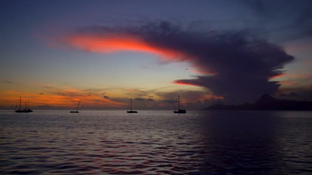 Vista de yates al atardecer Isla tropical Paraíso polinesio Moorea desde Tahití Archipiélago del Pacífico Sur
 - Imágenes, Vídeo