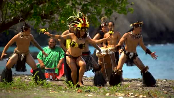 Αρσενικά και θηλυκά Marquesan ιθαγενών εκτελώντας έναν παραδοσιακό χορό πουλί στην παραλία φορώντας παραδοσιακή ενδυμασία Νούκου Χίβα Marquesas Νότιο Ειρηνικό - Πλάνα, βίντεο