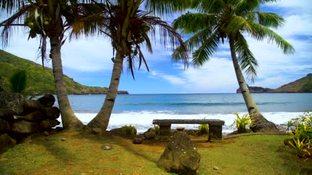 Uitzicht op de weelderige groene Oceaan baai palm bomen oceaan golven verlaten strand op externe locatie een Polynesische juweeltje van paradijs in de Zuid-Pacific Hatiheu Nuku Hiva Marquesas - Video