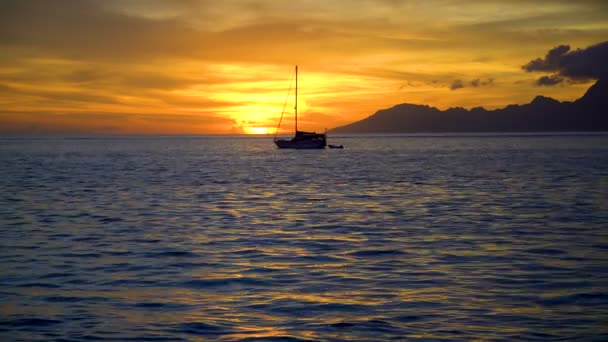Polinezyjskie złote widokiem zachodu słońca rafa i jacht w tropikalny raj wyspie Moorea z Tahiti South Pacific ocean - Materiał filmowy, wideo